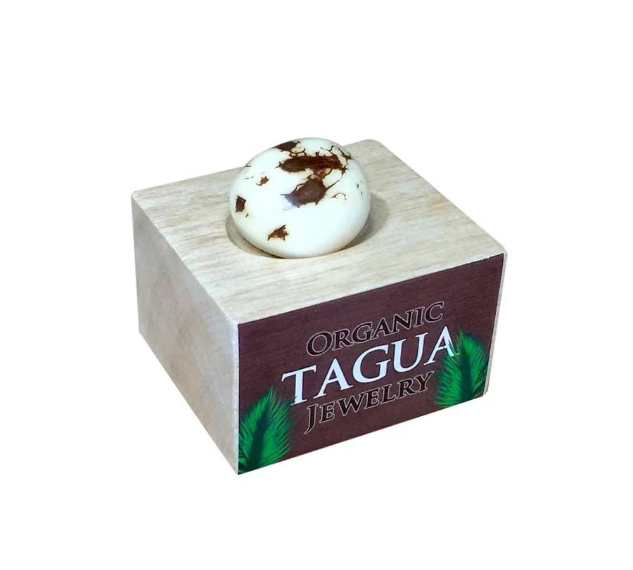 Tagua Nut Display