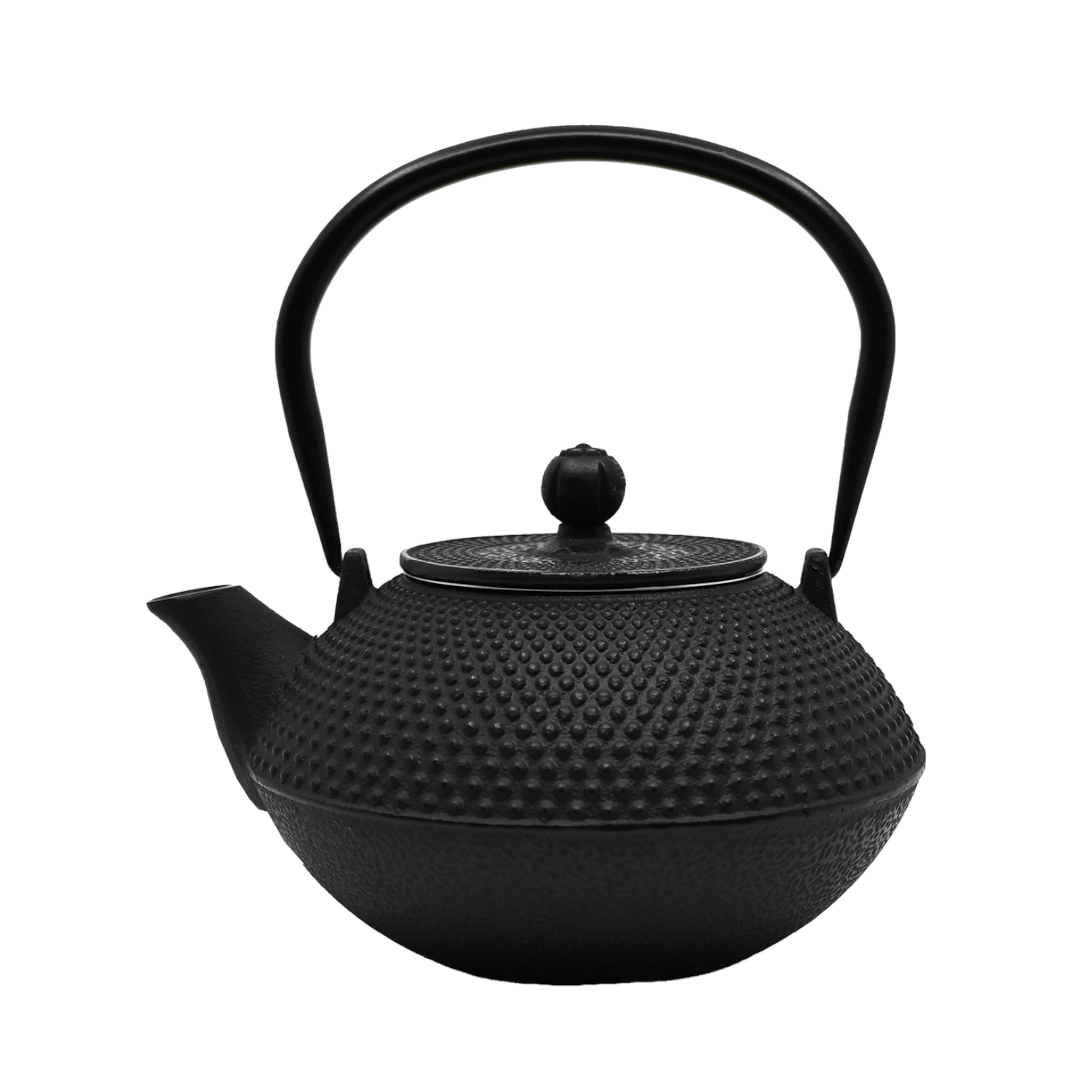 Design Cast Iron Tea Pot
