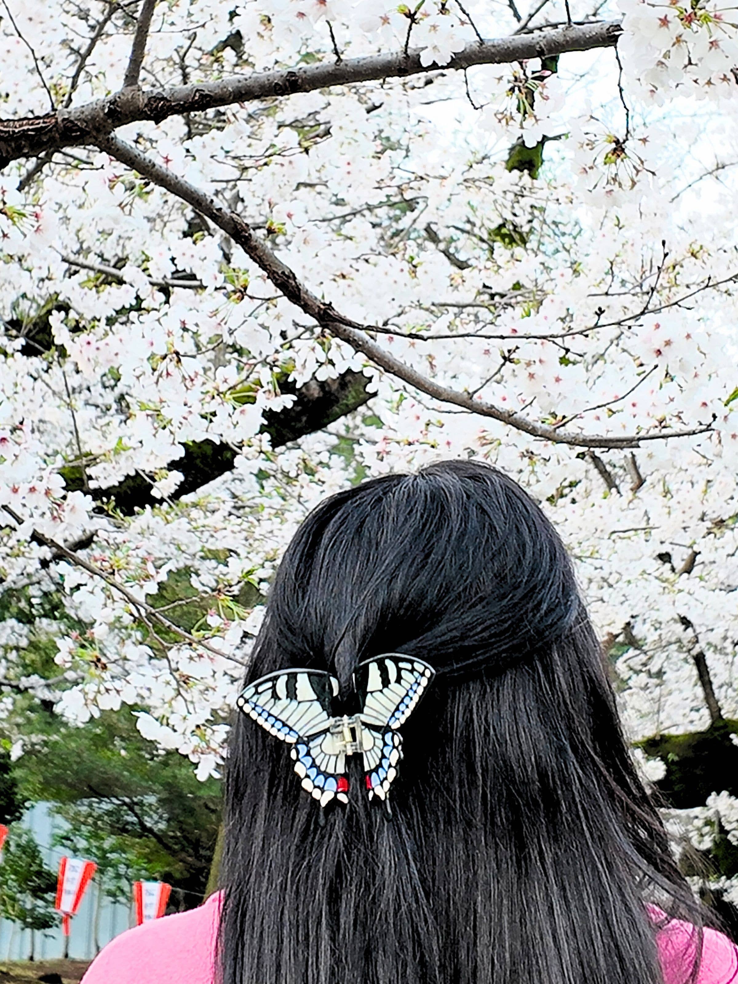 Hand-painted Swallowtail Butterfly Claw Hair Clip