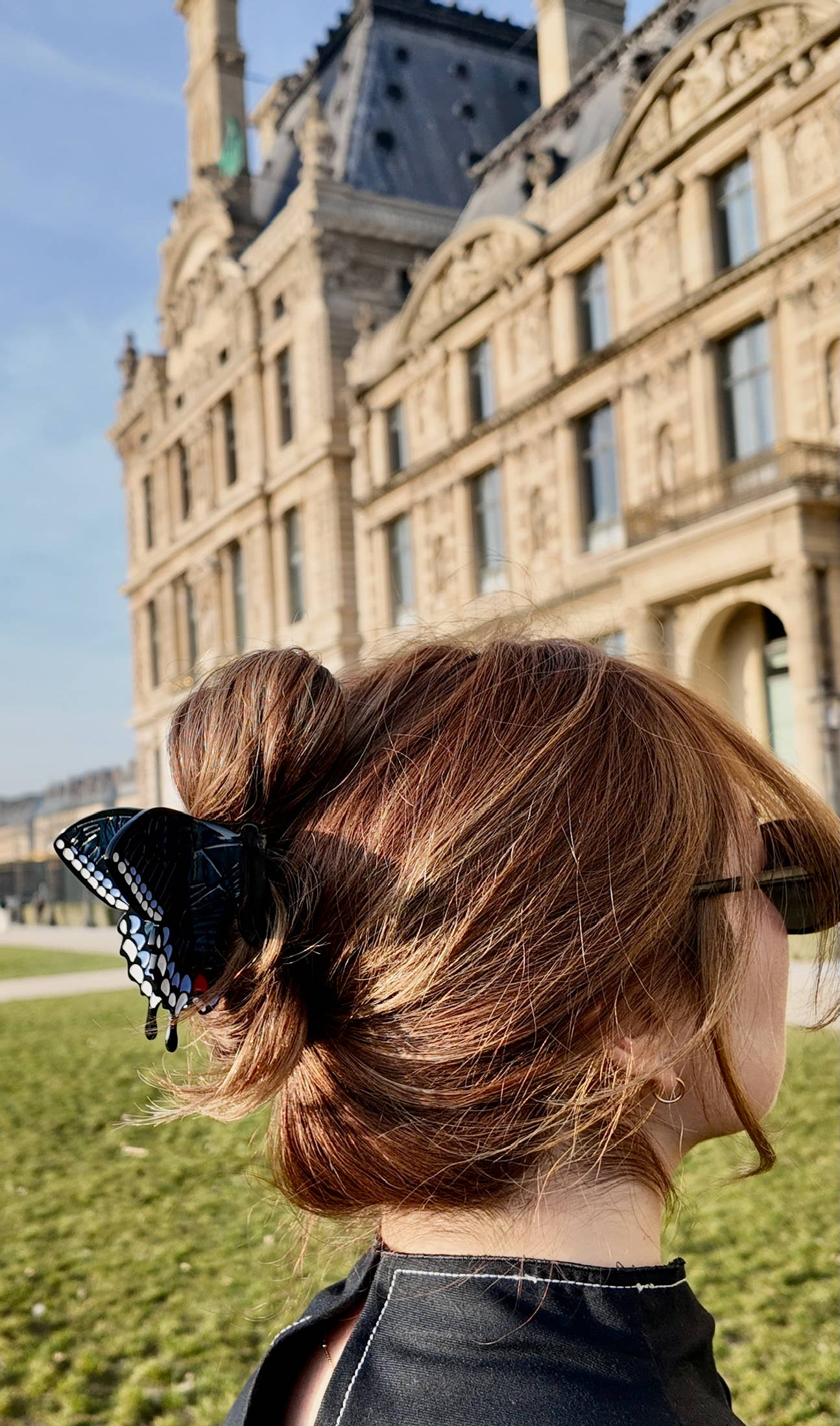 Hand-painted Swallowtail Butterfly Claw Hair Clip