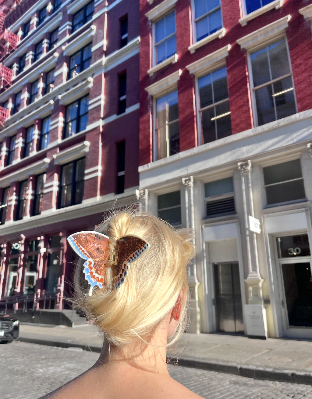 Hand-painted Swallowtail Butterfly Claw Hair Clip