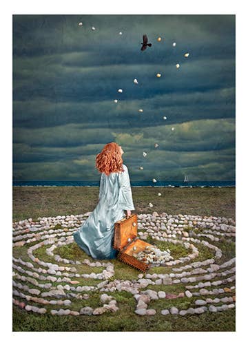 The Collector
