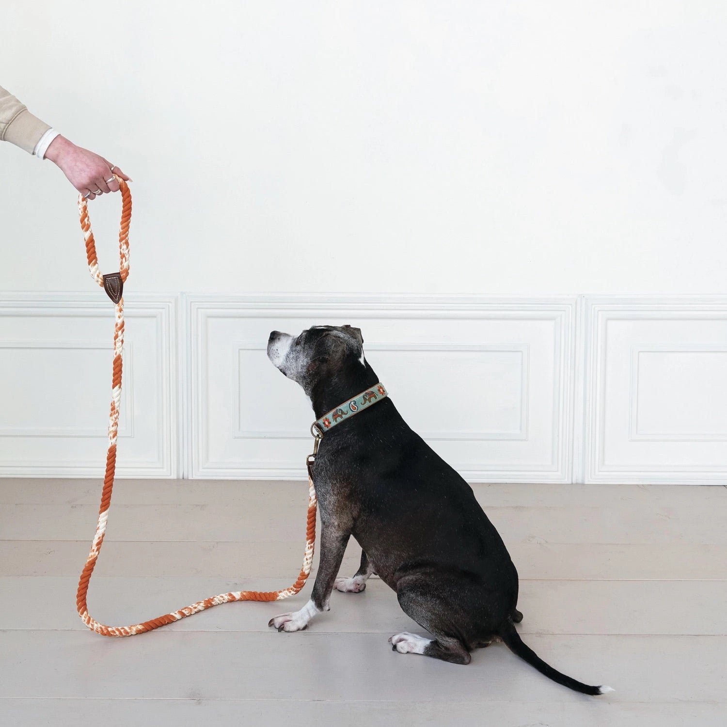 6' Braided Cotton Rope & Leather Dog Leash w/ Metal Clasp