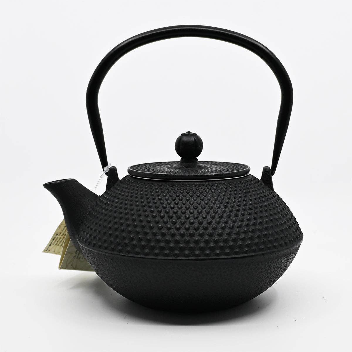 Design Cast Iron Tea Pot