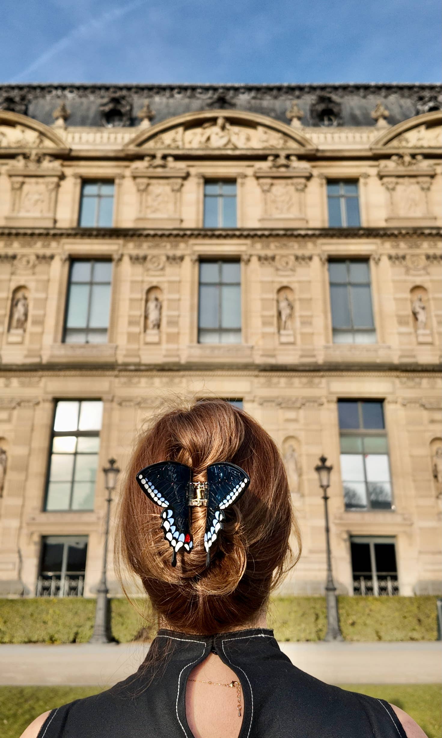 Hand-painted Swallowtail Butterfly Claw Hair Clip