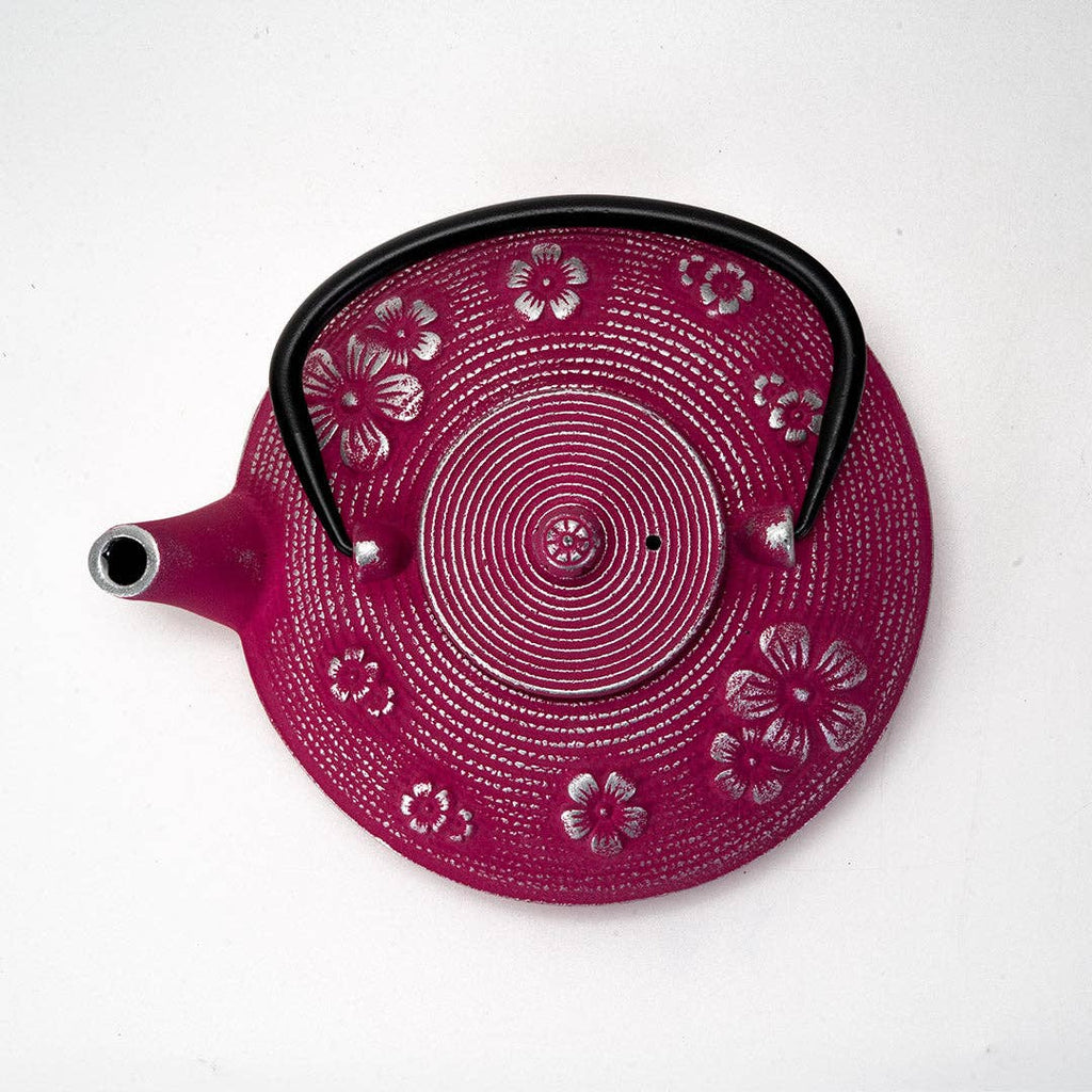 27 oz Cast Iron Tea Pot